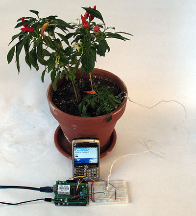 Plant making a Twitter post