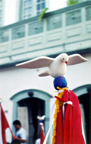 Pomba