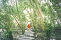 click to see large picture