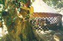 click to see large picture