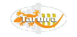 Antigo logo Taruíra